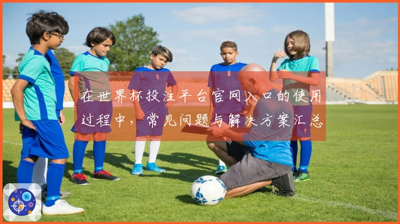 在世界杯投注平台官网入口的使用过程中，常见问题与解决方案汇总