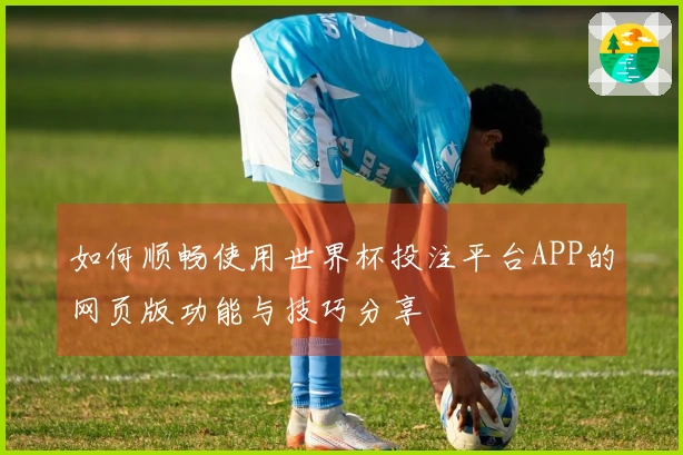 如何顺畅使用世界杯投注平台APP的网页版功能与技巧分享