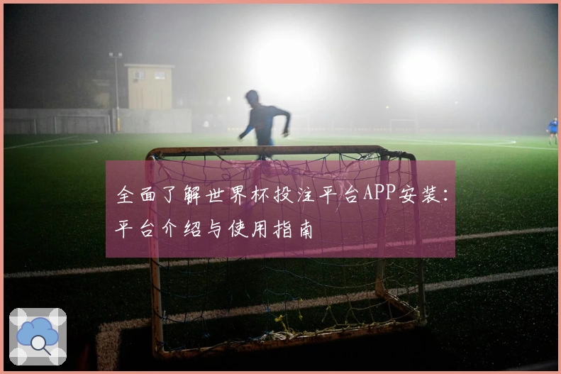 全面了解世界杯投注平台APP安装：平台介绍与使用指南