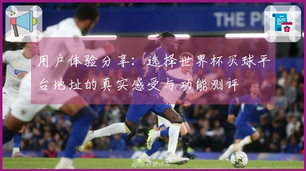 用户体验分享：选择世界杯买球平台地址的真实感受与功能测评