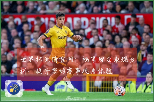 世界杯竞猜官网：畅享综合表现分析，提升您的赛事观看体验