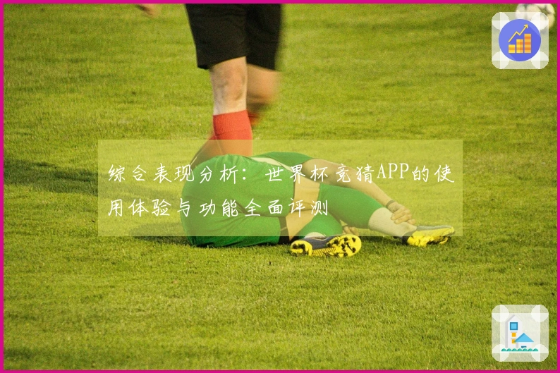 综合表现分析：世界杯竞猜APP的使用体验与功能全面评测