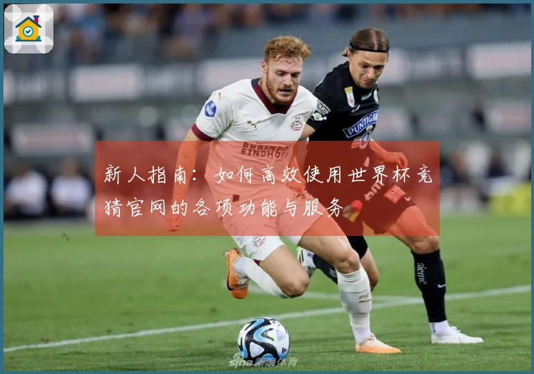 新人指南：如何高效使用世界杯竞猜官网的各项功能与服务