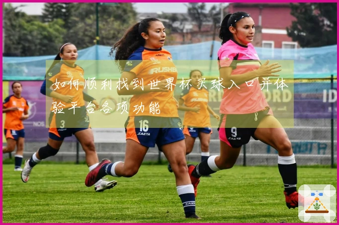 如何顺利找到世界杯买球入口并体验平台各项功能