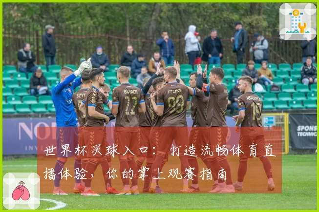 世界杯买球入口：打造流畅体育直播体验，你的掌上观赛指南