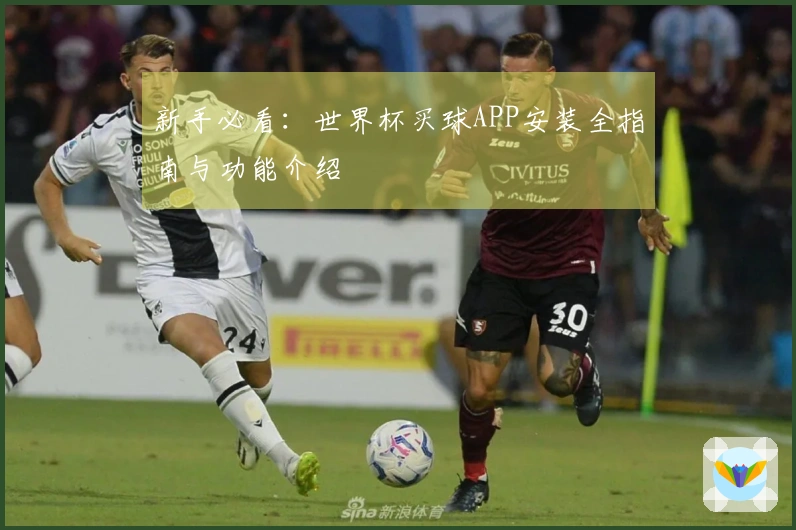 新手必看：世界杯买球APP安装全指南与功能介绍