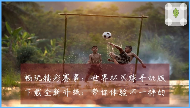 畅玩精彩赛事，世界杯买球手机版下载全新升级，带你体验不一样的观赛乐趣