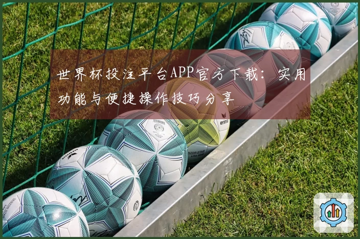 世界杯投注平台APP官方下载:实用功能与便捷操作技巧分享
