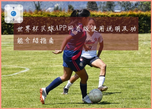 世界杯买球APP网页版使用说明及功能介绍指南