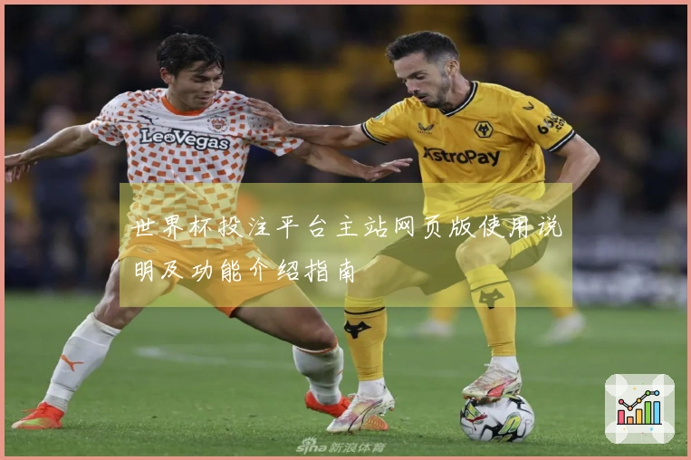 世界杯投注平台主站网页版使用说明及功能介绍指南
