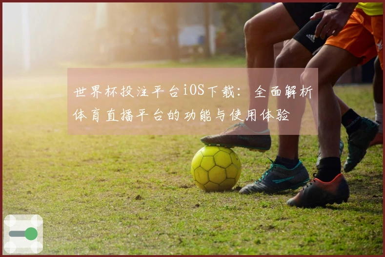 世界杯投注平台iOS下载：全面解析体育直播平台的功能与使用体验