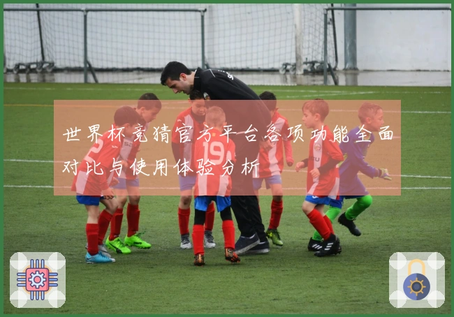 世界杯竞猜官方平台各项功能全面对比与使用体验分析