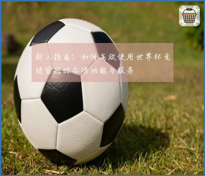 新人指南：如何高效使用世界杯竞猜官网的各项功能与服务