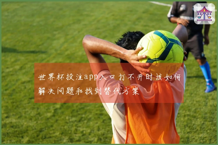 世界杯投注app入口打不开时该如何解决问题和找到替代方案