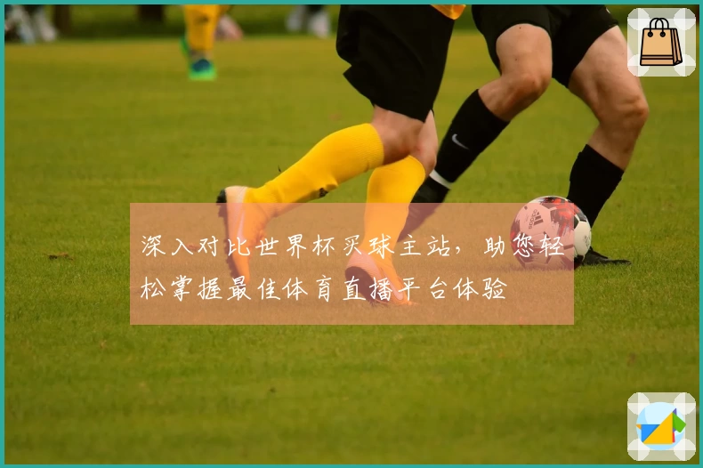 深入对比世界杯买球主站，助您轻松掌握最佳体育直播平台体验